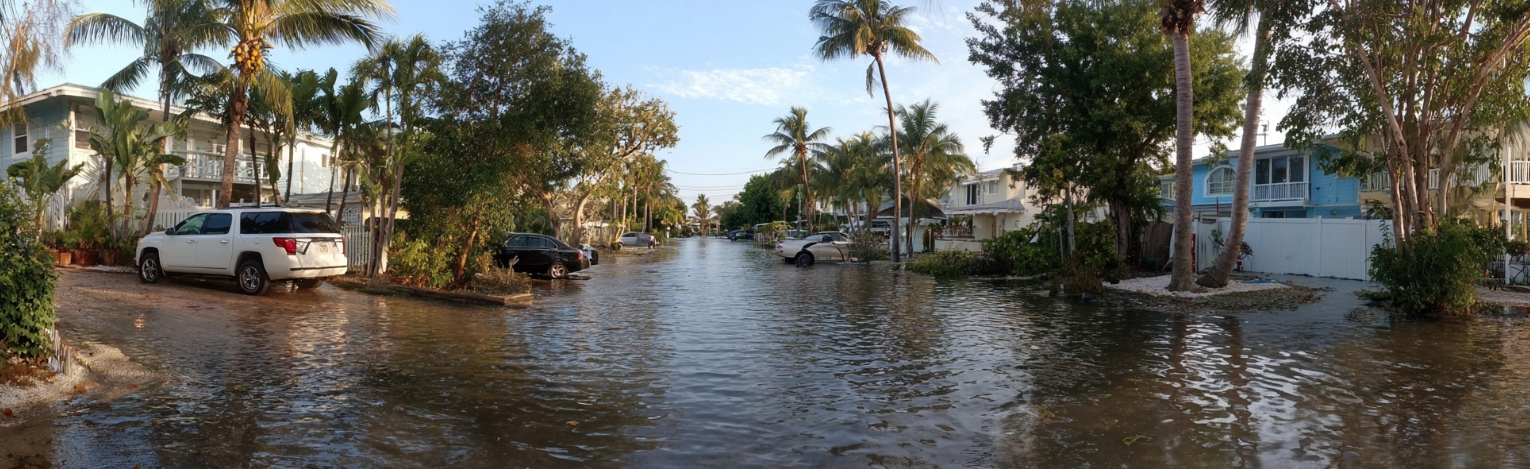 Flooded Florida street with cars partially submerged