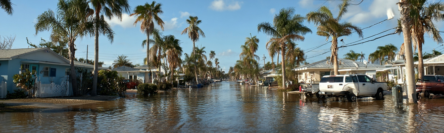 Coastal Florida street flooding after hurricane storm surge